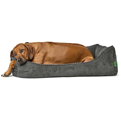 Hundsäng från Hunter